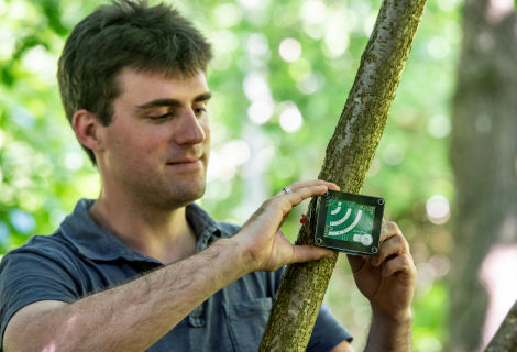 The Audio Moth research project